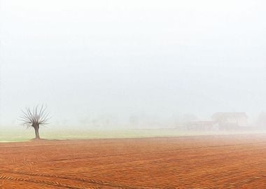 Thick fog in the Po valley