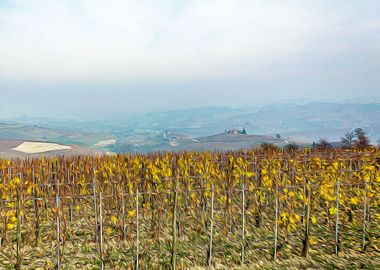 Vineyards in Barolo valley