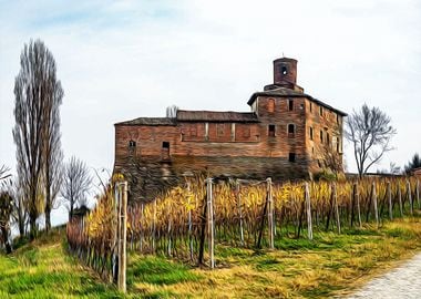 Vineyards in Barolo valley