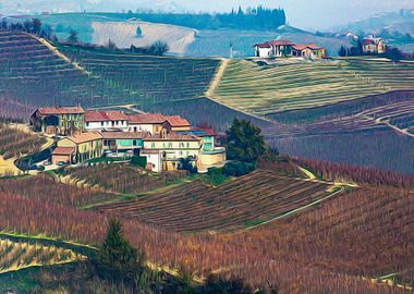 Vineyards in Barolo valley