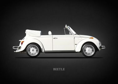 The Classic Beetle