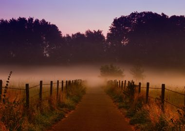 LandscapesMountain Nature