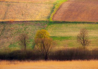 Poland Plain Purple Rural 