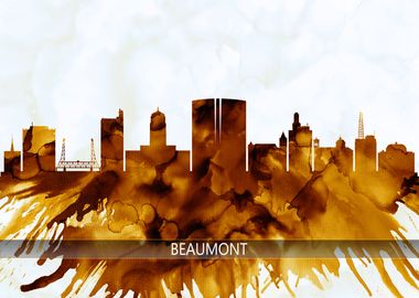 Beaumont Texas Skyline