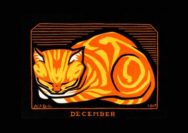 December Cat 