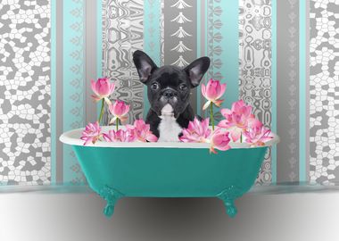 French Bulldog Bathtub 1