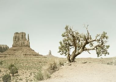 Vintage MONUMENT VALLEY