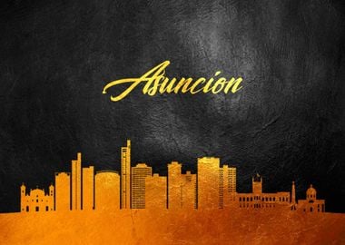 Asuncion Paraguay Skyline