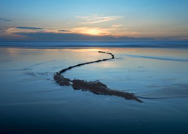 Abandoned seaside snake