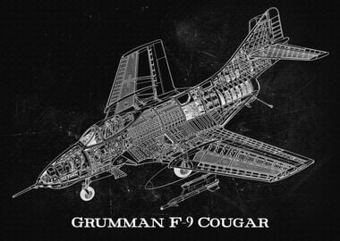 Grumman F9 Cougar