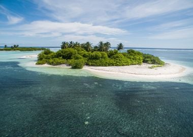 Palm Island at the sea