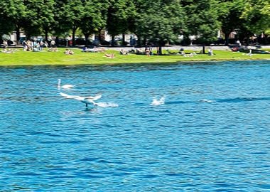 Lake Maggiore