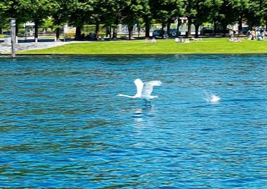 Lake Maggiore