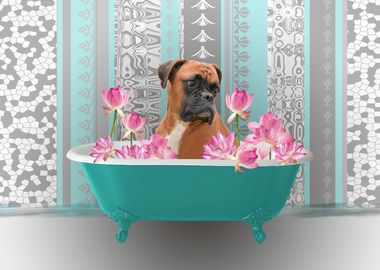 Boxer Dog Bathtub Lotus