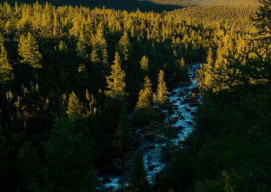 Gaspesie National Park