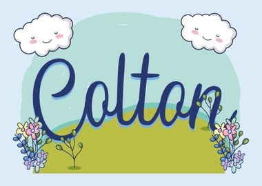 COLTON Baby Name Sign Gift