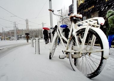 bike cover white