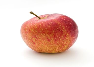 fruit apple