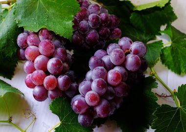 red grapes