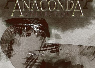 Anaconda collection