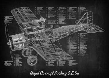 Royal Aircraft Factory SE