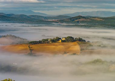 Morning fog 