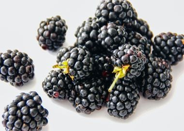 blackberry fruit