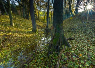 Autumn Autumnal Background