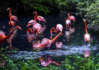 Pink flamingos in a pond