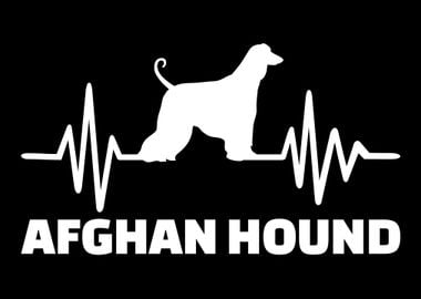 Afghan Hound