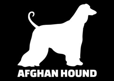 Afghan Hound