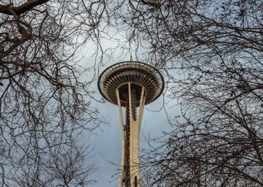 Space Needle Thru Branches