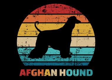 Afghan Hound