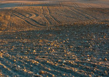 Rural Field Land Nature La