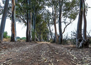 Dirt road in countryside