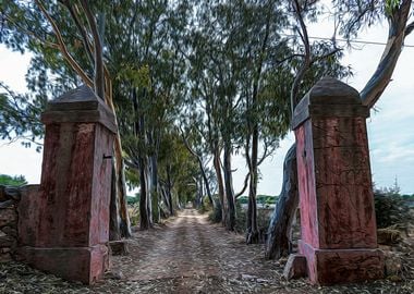 Dirt road in countryside