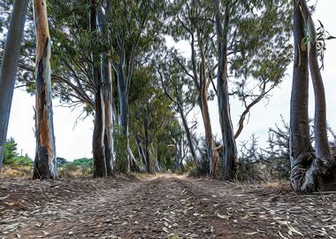 Dirt road in countryside