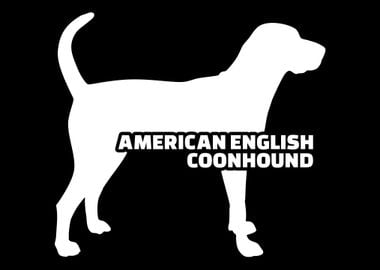 American English Coonhound