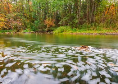 Scenery Scenic River Polan