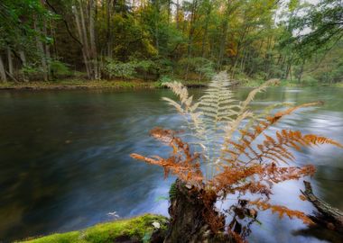 Scenery Scenic River Polan