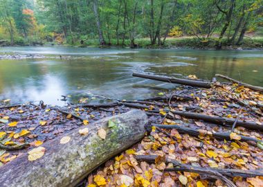 Scenery Scenic River Polan