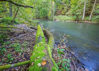 Scenery Scenic River Polan