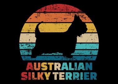 Australian Silky Terrier