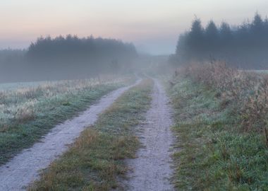 Nature Rural Misty Mist La