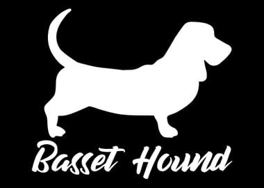 Basset Hound