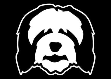 Bearded Collie