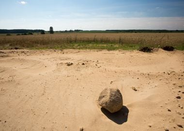 Dry Grass Landscape Nature