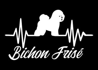 Bichon Frise