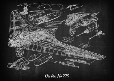 Horten Ho 229