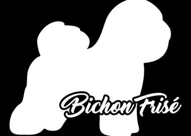 Bichon Frise